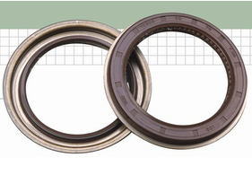 Crankshaft rear oil seal assembly under special working conditions