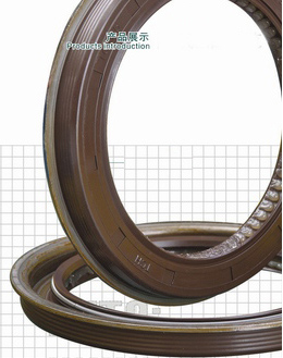 Crankshaft rear oil seal assembly 2 under special working conditions